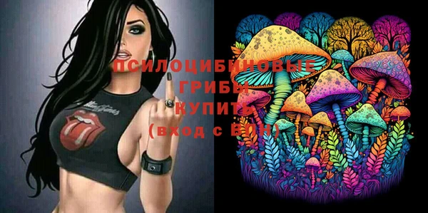 дмт Алексеевка