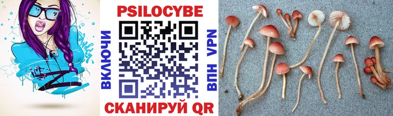 купить закладку  Лабинск  Псилоцибиновые грибы Cubensis 