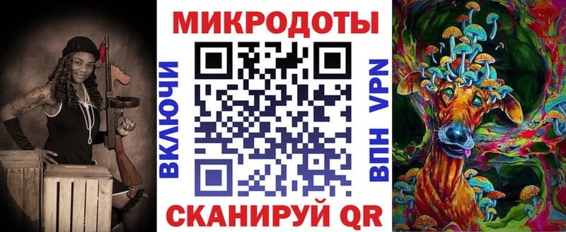Галлюциногенные грибы Psilocybe Лабинск